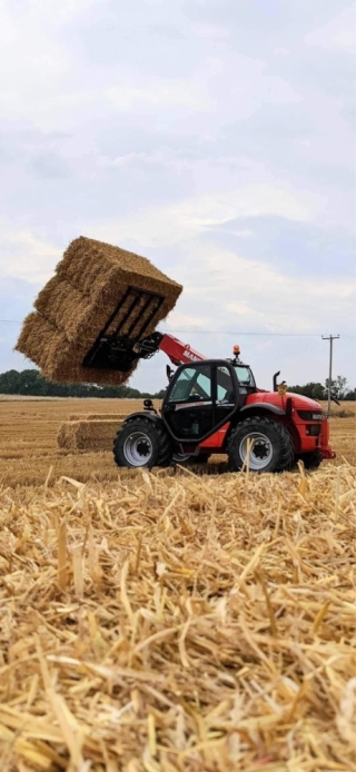 Bale Spikes 16